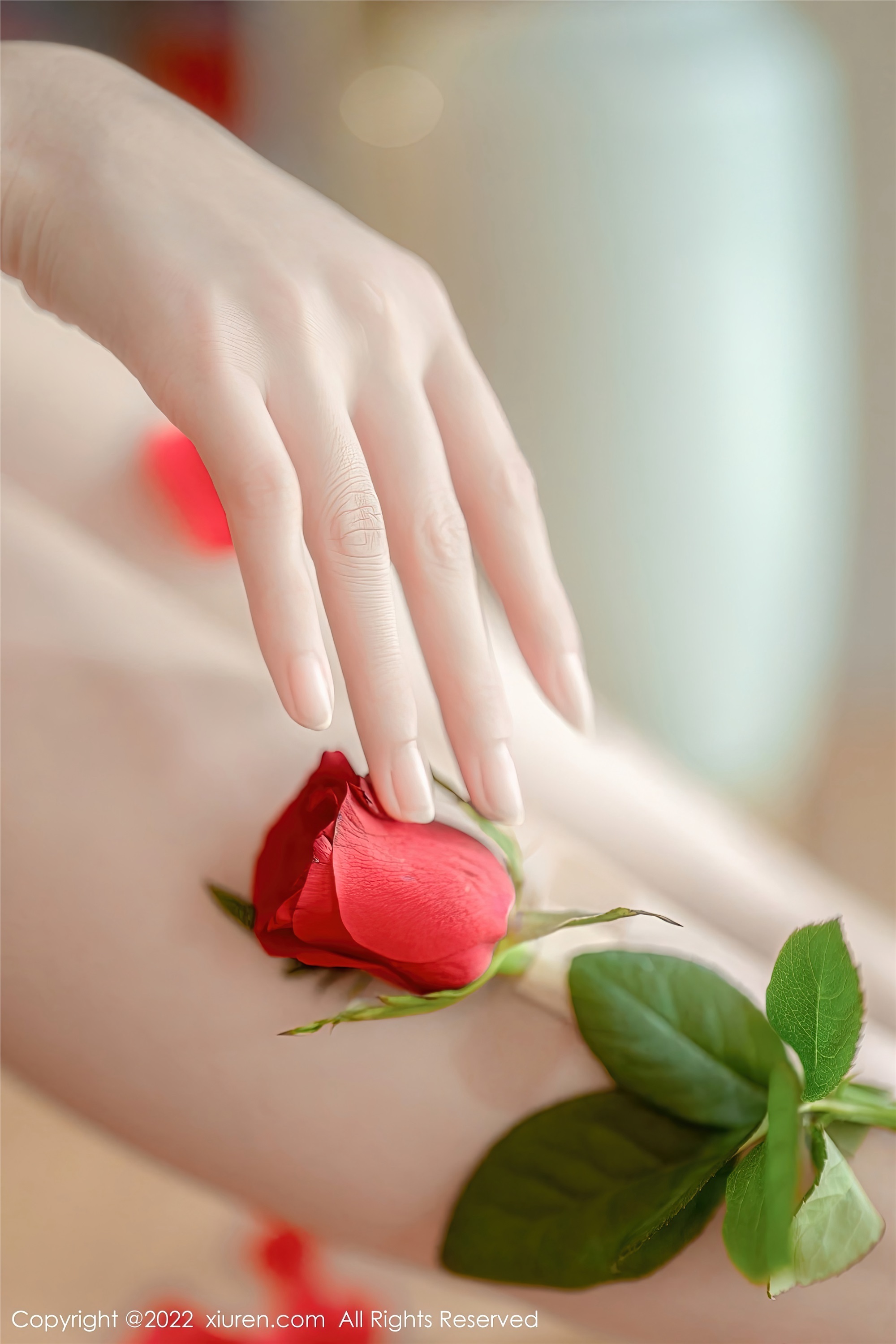 Xiuren秀人网 2022.11.18 NO.5875 婠婠么